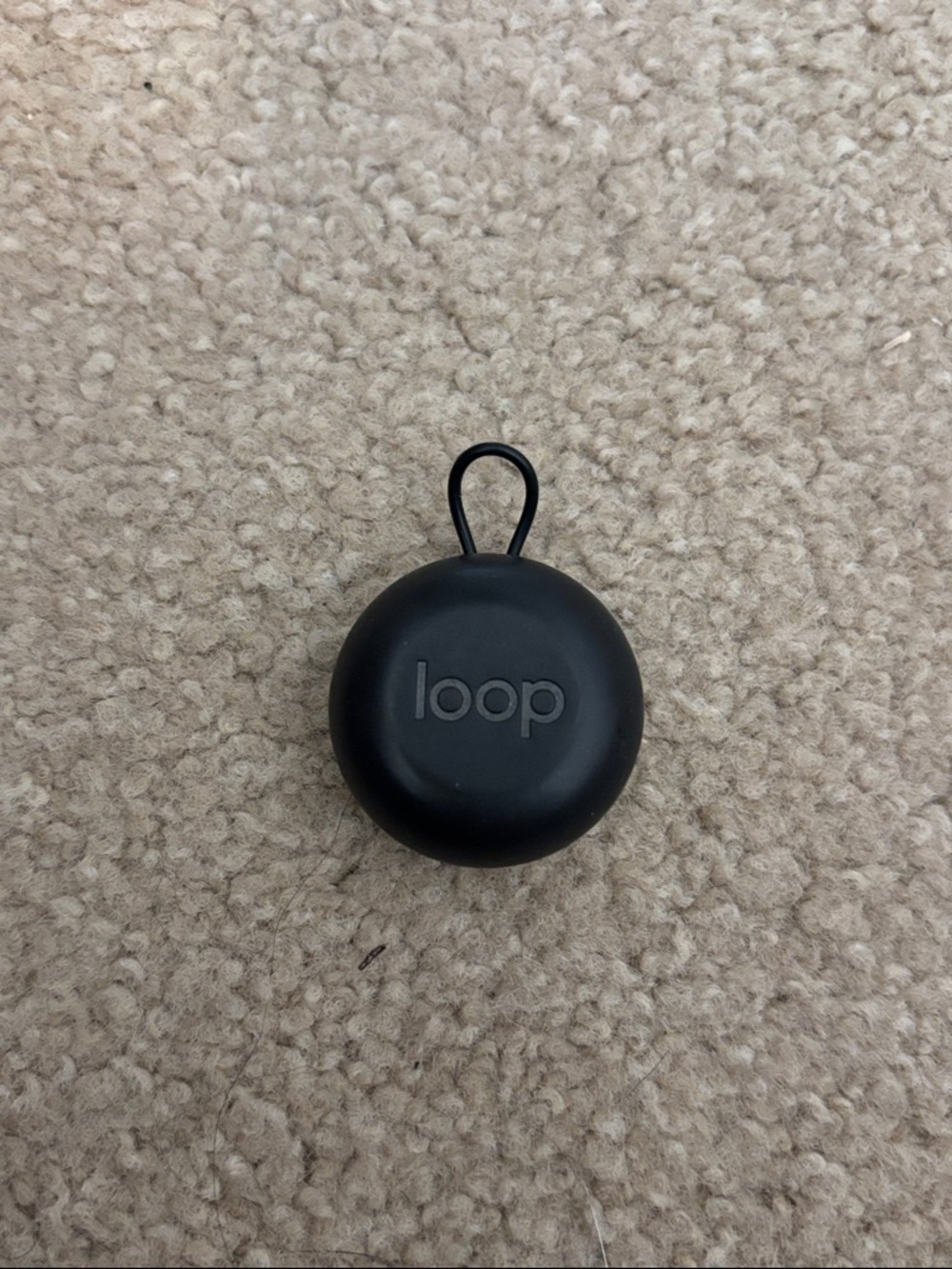 Loop Earplug Case